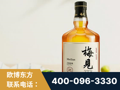 慈溪-梅见青梅酒